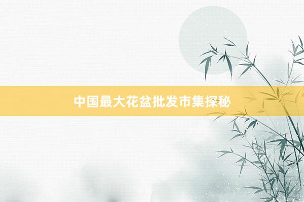 中国最大花盆批发市集探秘