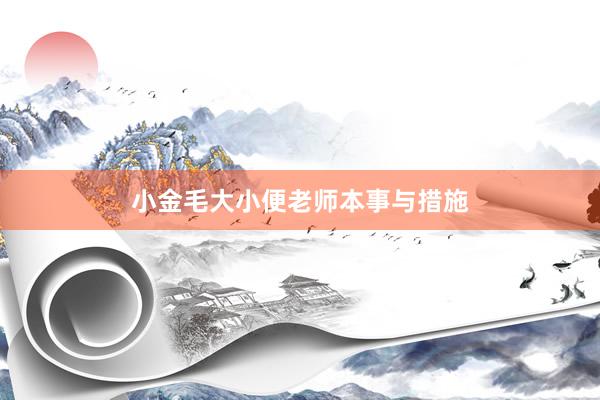 小金毛大小便老师本事与措施