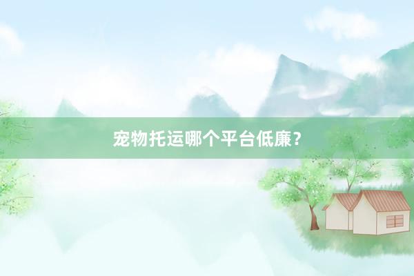 宠物托运哪个平台低廉？